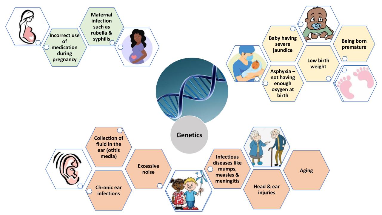 Causes of hearing loss.pptx (1)